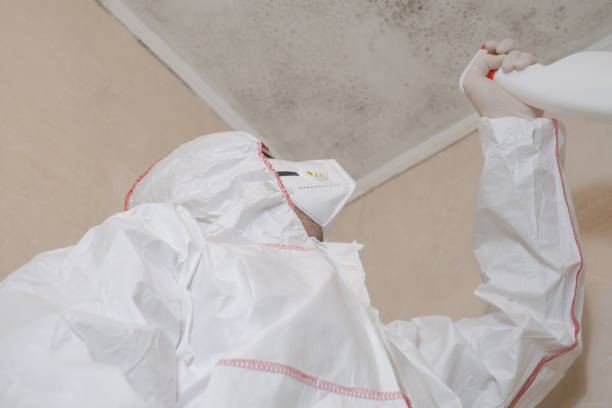 Best Toxic Mold Removal  in River Bend, NC
