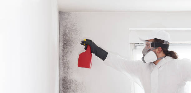 Crawl Space Mold Removal in River Bend, NC