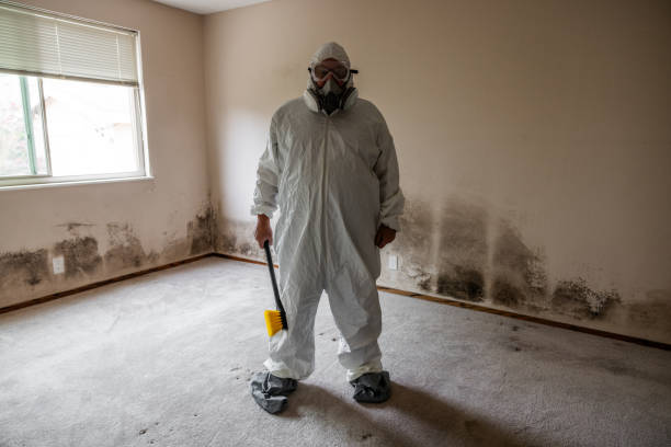 Crawl Space Mold Removal in River Bend, NC